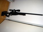 t96 01.jpg